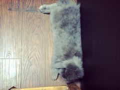 -志龙皇冠吃货椰子铺