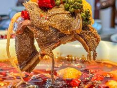 -燕郊烧鸽子(酷车小镇店)