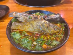 -三道苗苗鱼·美蛙黄辣丁(八里店)