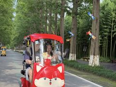 -黄海国家森林公园