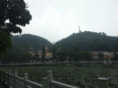 -红山村
