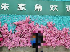 -东方绿舟景区