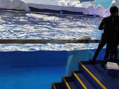 -秦皇岛乐岛海洋王国