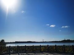 -东滩湿地公园观海楼餐厅