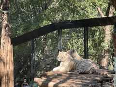 -北京野生动物园