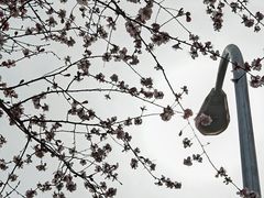 -和平门菜市场