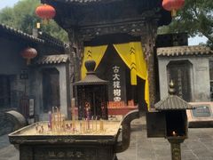 -大槐树寻根祭祖园