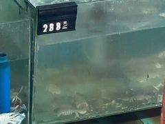 -蓝湾碧波·老字号·疍家非遗海上餐厅