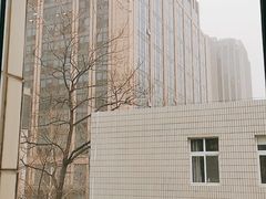 -星巴克(北京惠新东街店)