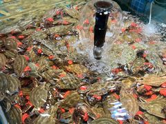 -和源祥·日照菜扛把子(万平口一店)