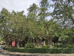 -滴水岩森林公园
