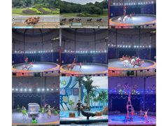 -深圳野生动物园