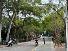 -厦门大学(思明校区)