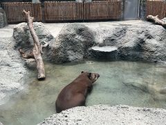 -武汉动物园