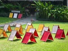 -大象粑粑造纸公园