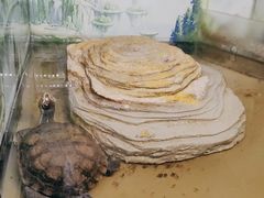 -上海大自然野生昆虫馆(东方明珠·爬宠昆虫探索中心)