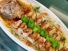 清蒸长寿鱼-柳京酒店(滨江中路店)