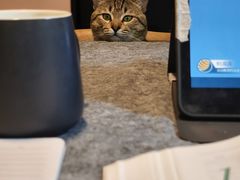 -宠颐生宠物医院外科·内科·皮肤科·影像科(石龙店)
