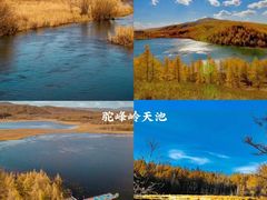 -呼伦贝尔大草原