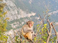 -重庆云阳龙缸景区