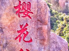 -狐尾山公园