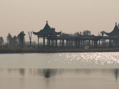 -盐城丹顶鹤湿地生态旅游区