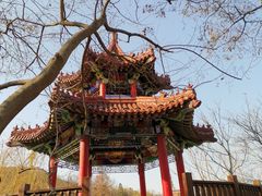 -大连植物园