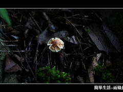 -岳西天峡风景区