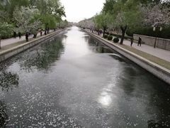 -元大都城垣遗址公园