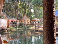 -二荆条·蜀鲜汇城市森林火锅