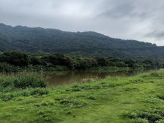 -风云岭森林公园