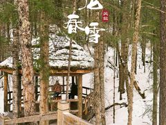 -黄龙山原始森林景区