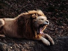 -杭州野生动物世界