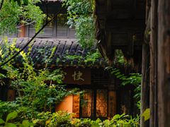 -西溪国家湿地公园