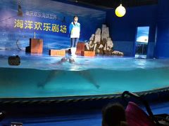 -重庆欢乐海底世界
