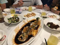 -圆苑(金茂店)