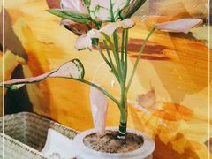 -盘炉forenza·云贵川融合小食堂 ( 钟楼中柳巷店)