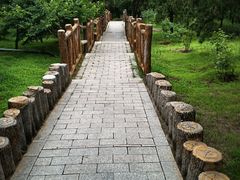 -白水寺森林公园