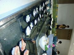android_upload_pic-渔傅·蓝海岸霞浦海鲜(正祥店)