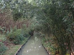 -同里国家湿地公园