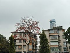 -南越王博物院