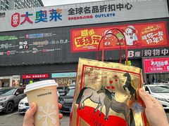 -盛京大奥莱(沈阳奥体店)