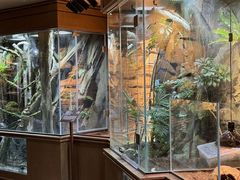 -帕帕拉兹宠物(亚洲旗舰店)