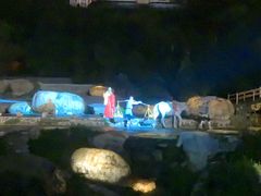 -禅宗少林·音乐大典