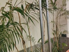-新李记 · 口味菜馆(南郊公园店)