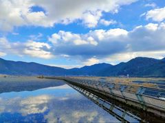 -腾冲北海湿地