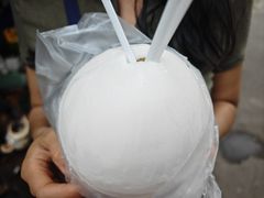 -西双版纳傣族园