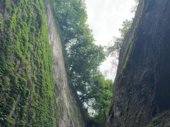 -鲁镇