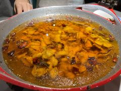 -雲蜀龙阁·金牌水煮鱼(方庄店)