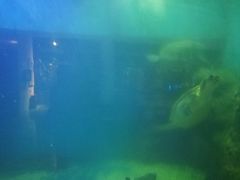 -上海长江河口科技馆
